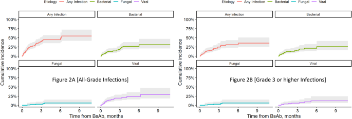 Fig. 2: Kaplan-Meier curves for cumulative incidence of infections with teclistamab.