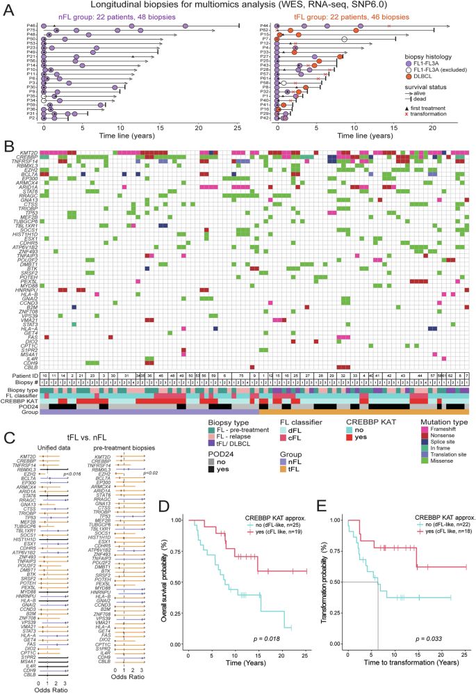Fig. 1: Landscape of genetic alterations in nFL and tFL.