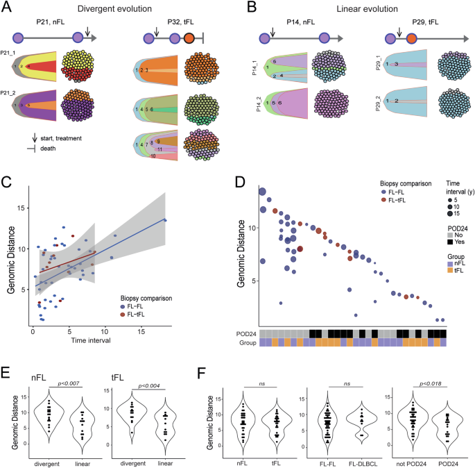 Fig. 2: Clonal shifts are common during FL evolution as demonstrated by large genomic distances between biopsies in individual FL patients.