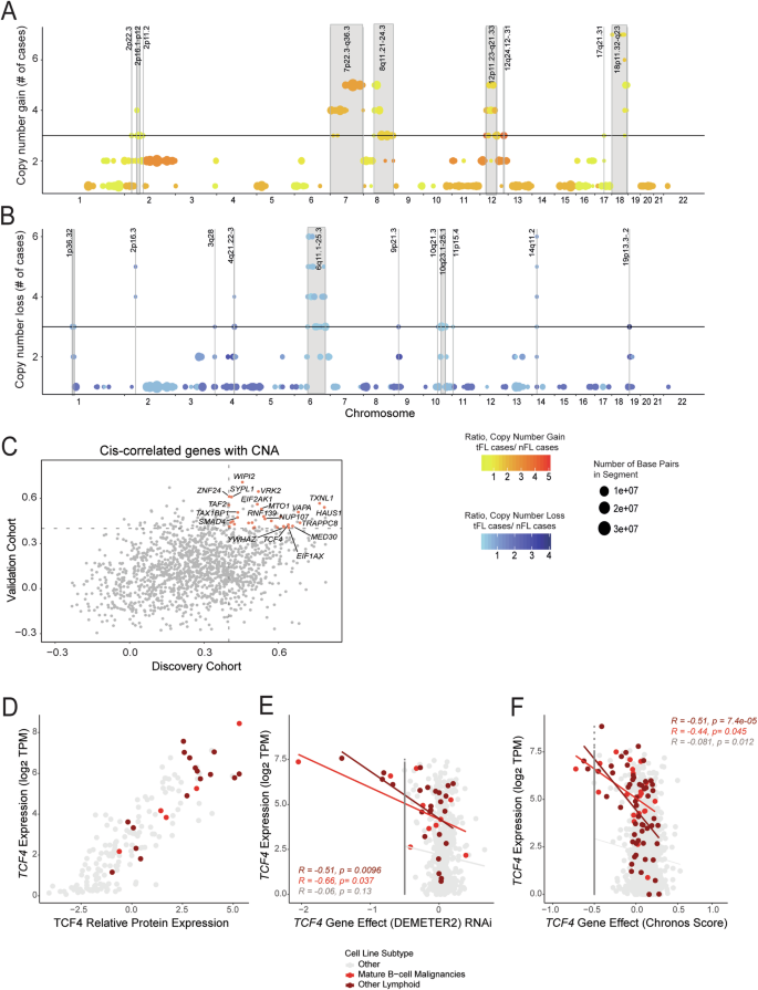 Fig. 4: Identification of early and stable copy number changes in FL.