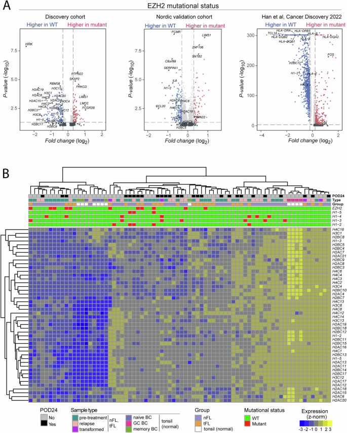 Fig. 5: Histone genes are downregulated in FL.