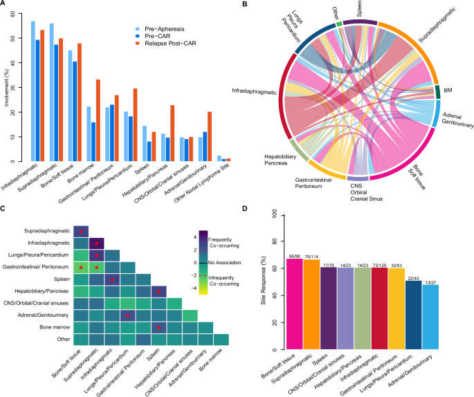 Fig. 3: Anatomical site distribution, correlation patterns, and response.