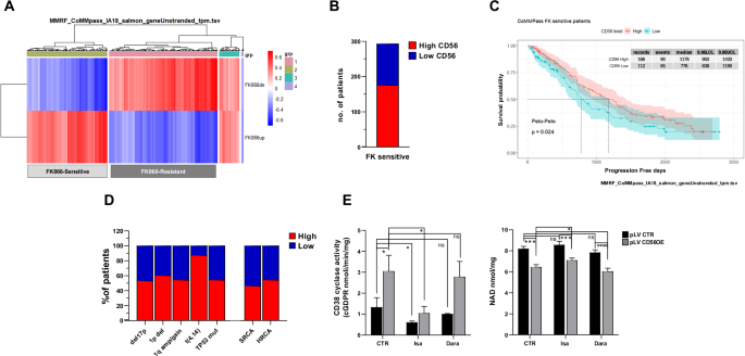 Fig. 2: CD56 levels in MM patients predict outcome following metabolism-targeting agents.