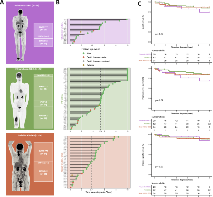 Fig. 1: Patient cohorts and survival outcomes.