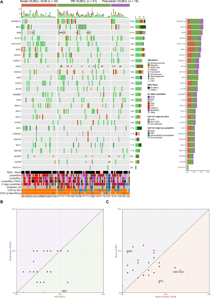 Fig. 2: Mutational differences between the bone-DLBCL and nodal-DLBCL-GCB cohorts.