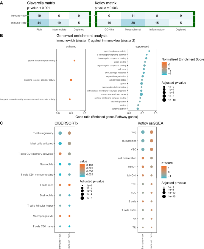 Fig. 5: Detailed gene expression analysis of the immune-rich and immune-low clusters.