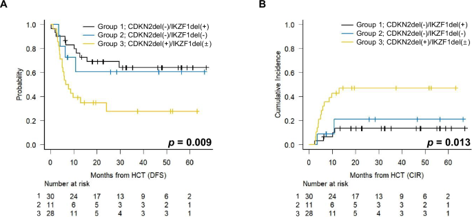 Fig. 1: Survival outcomes of the patients treated with allo-HCT in CMR according to the CDKN2del and IKZF1del combinatorial subgroups.