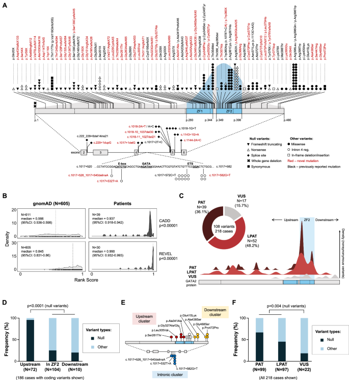 Fig. 2: Germline mutational landscape of GATA2.