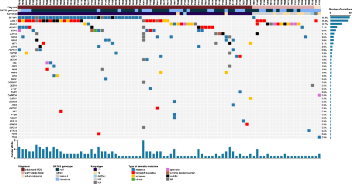 Fig. 5: Somatic landscape of patients with GATA2 deficiency.