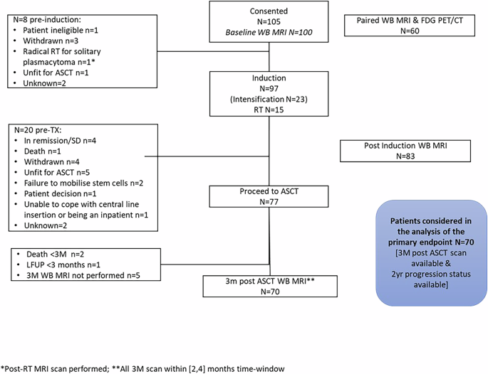 Fig. 1: CONSORT diagram of the iTIMM trial.