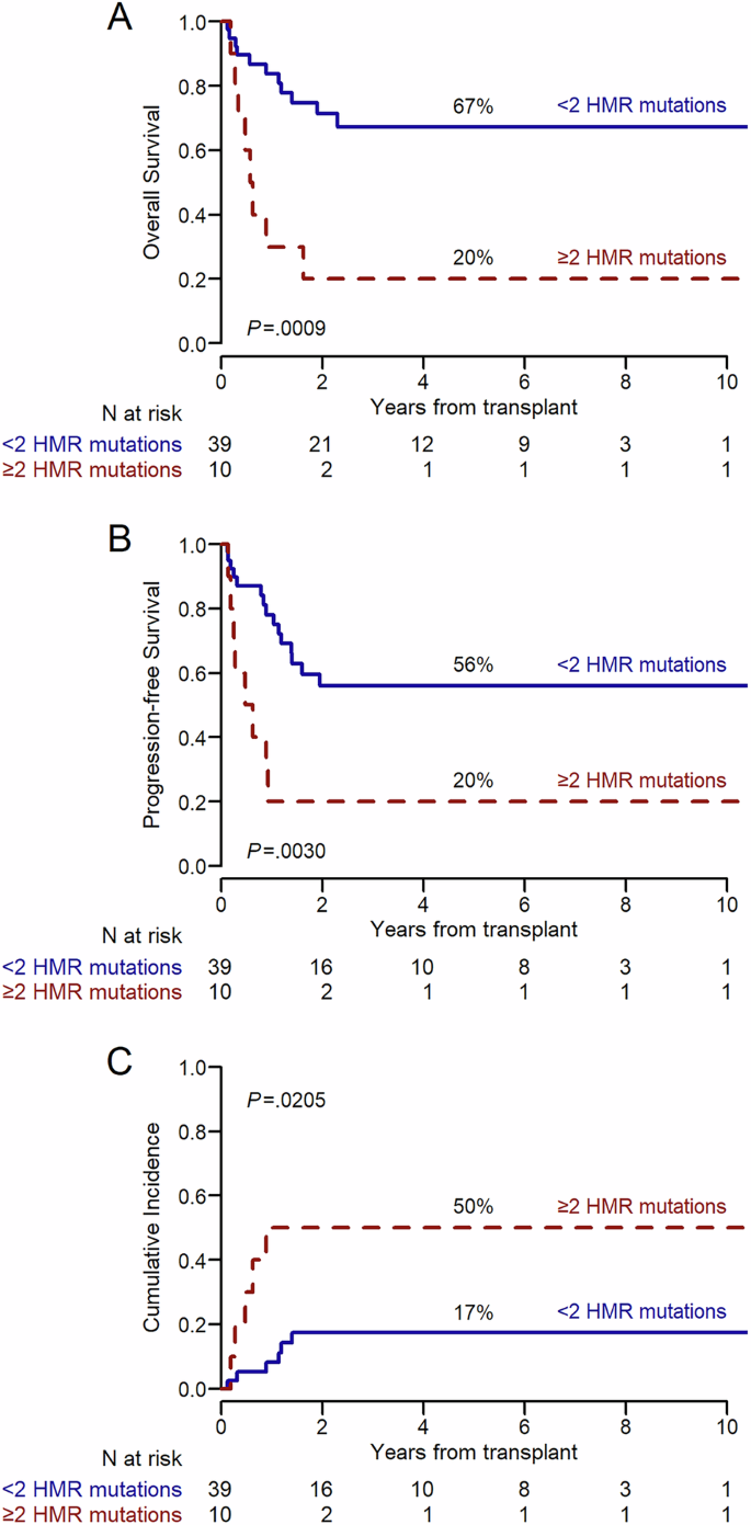 Fig. 1: Outcome of patients according to the pre-transplant number of high molecular risk mutations.