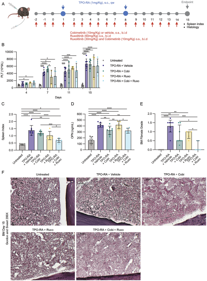 Combined MEK and JAK inhibition reduces osteopontin plasma level and ...