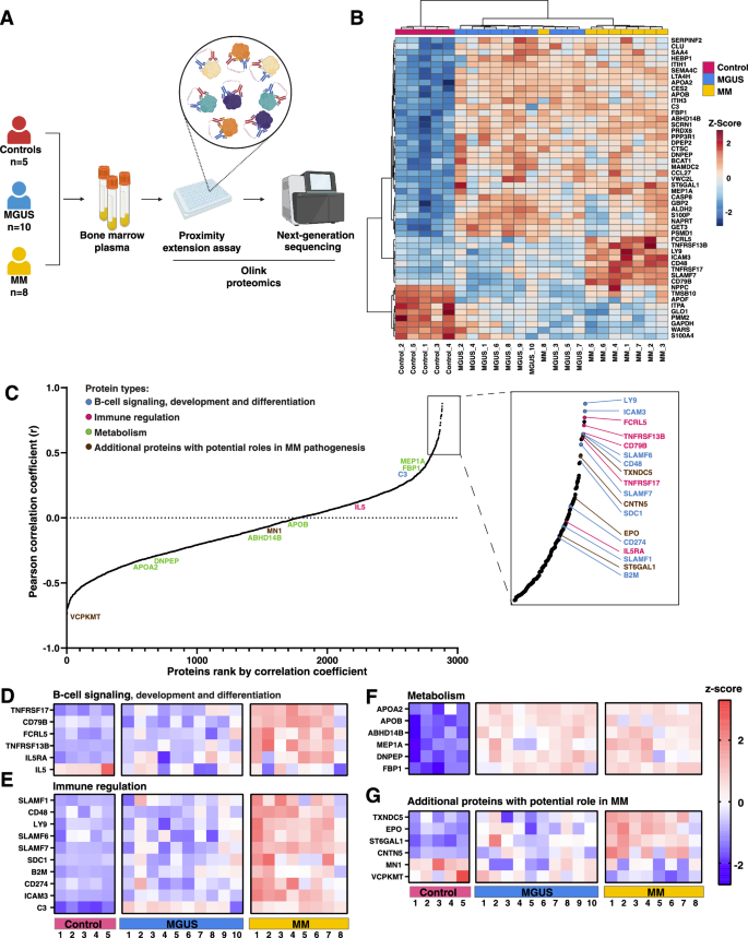 Fig. 1: Summary of the proteomic analysis of BM plasma.