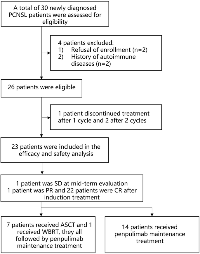 Fig. 1: Trial profile of Penpulimab combined with rituximab, high-dose methotrexate, and cytarabine in newly diagnosed PCNSL.