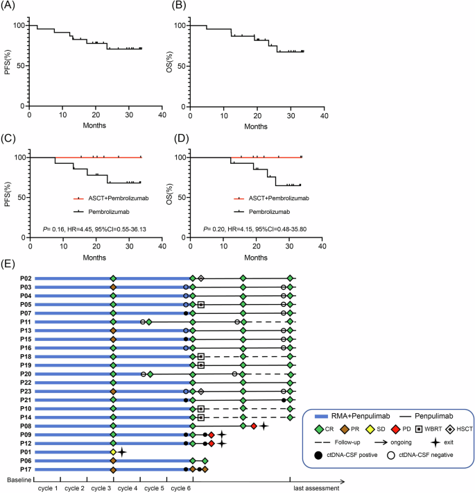 Fig. 2: Survival and Efficacy Analysis of the 23 PCNSL patients.