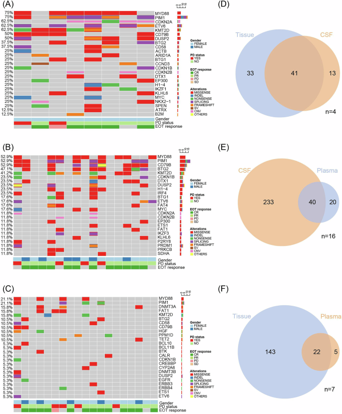 Fig. 3: Summary of clinical features and genomic alterations in samples of tumor tissue.