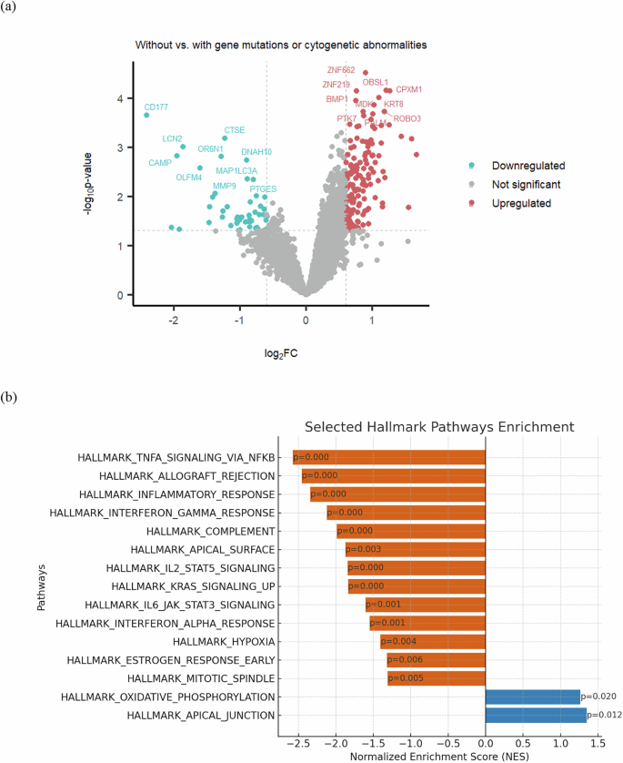 Fig. 4: Transcriptomic landscape of mutation- and karyotype-negative MDS.