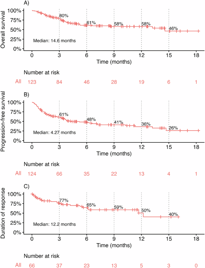 Fig. 2: Survival outcomes in the overall cohort.
