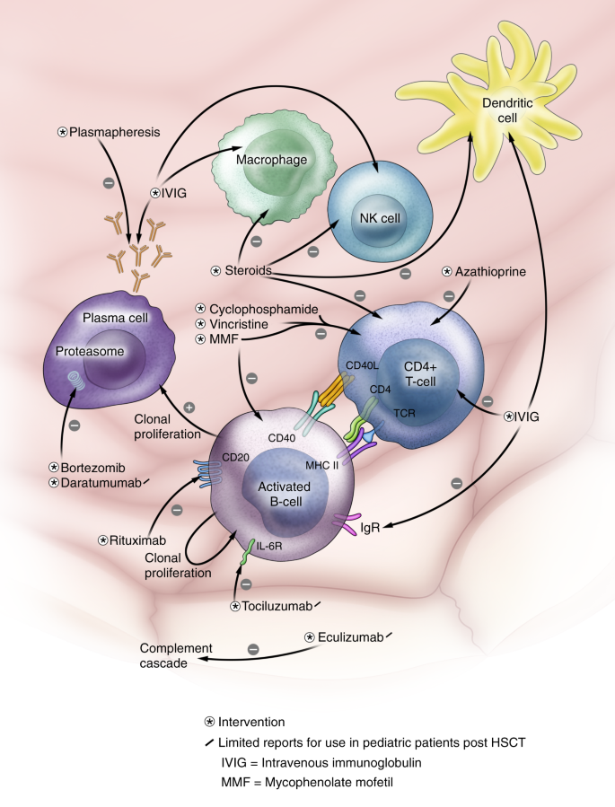 Consensus Opinion On Immune Mediated Cytopenias After Hematopoietic Cell Transplant For Inherited Metabolic Disorders Bone Marrow Transplantation