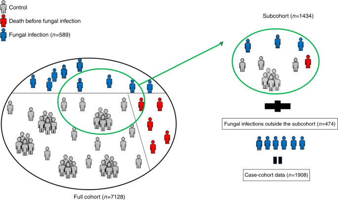 what is stratified case cohort study figure 2