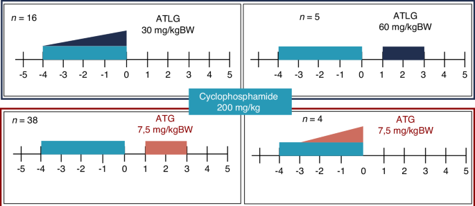 Fig. 1: Different conditioning regimen.