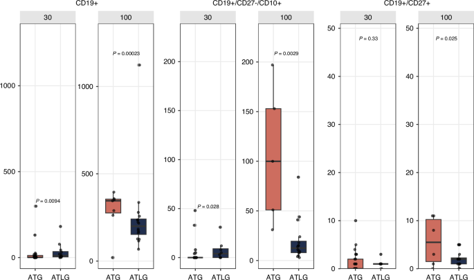 Fig. 3: B cell reconstitution at day 30 and day 100 comparing pretransplant ATLG to posttransplant ATG.