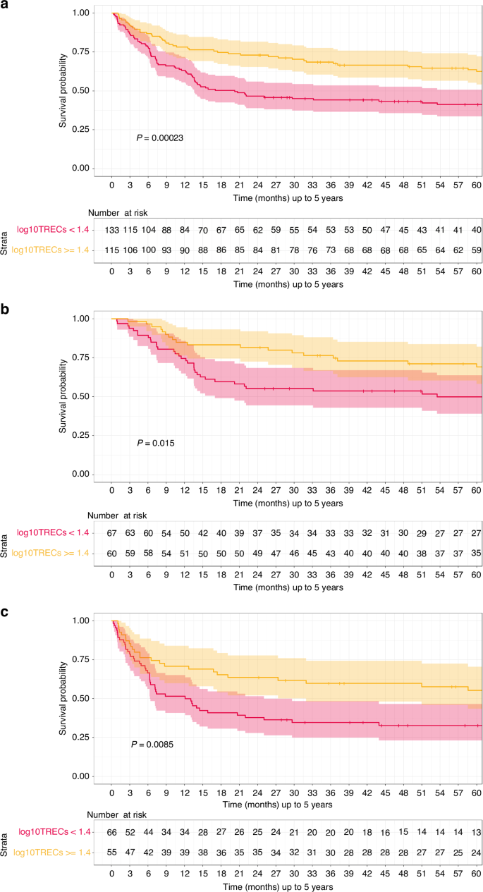 Fig. 2: Overall survival according to pre-transplant TRECs levels and type of donor.