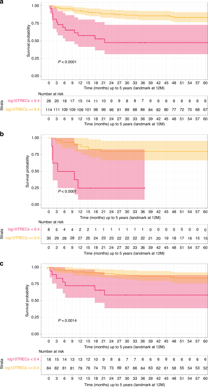 Fig. 3: Overall survival landmark analysis in early survivors according to their TRECs levels at 12 months after transplant.