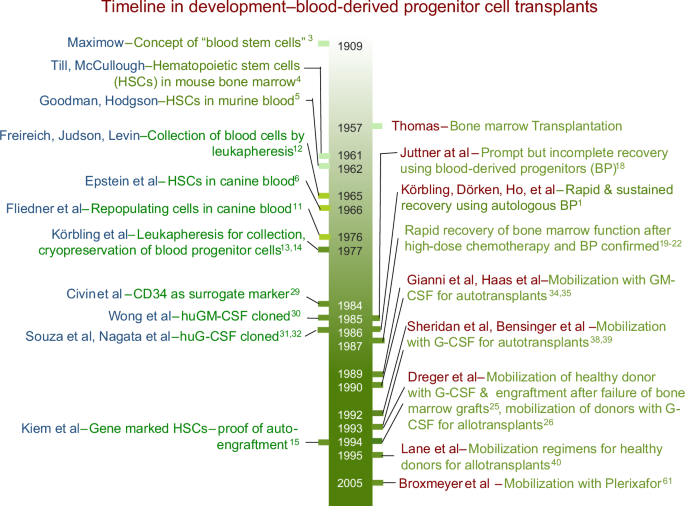 Fig. 1: Time line in development – blood-derived progenitor cell transplants.
