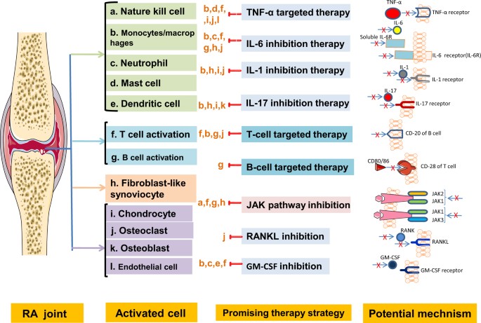 rheumatoid arthritis pathogenesis nature