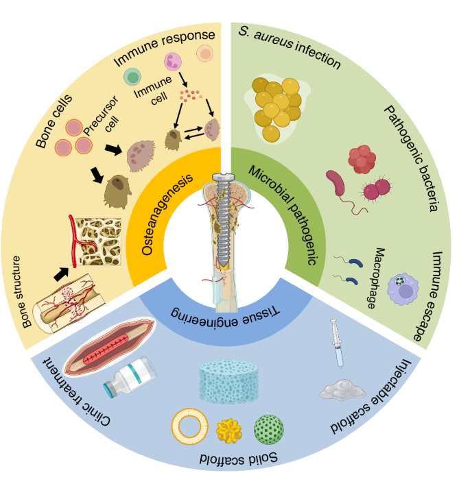 Prospects and challenges for the application of tissue engineering 