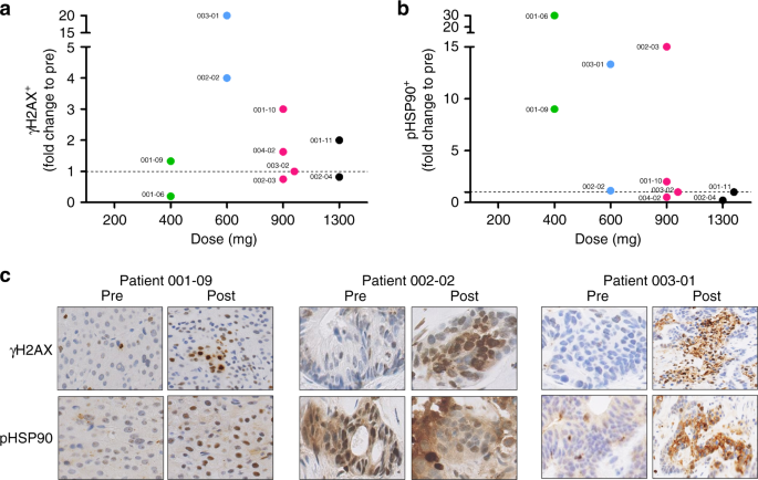 Fig. 2: AsiDNA activity biomarkers in tumor samples.