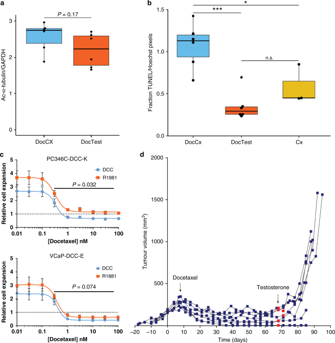 Androgen receptor signalling impairs docetaxel efficacy in  castration-resistant prostate cancer | British Journal of Cancer
