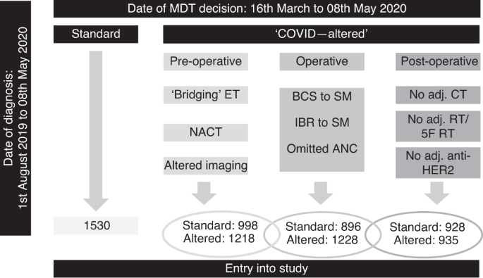 Fig. 1: Study schematic showing the points at which patients may enter into the study, the number of patients in each group and the timelines reported in the study.