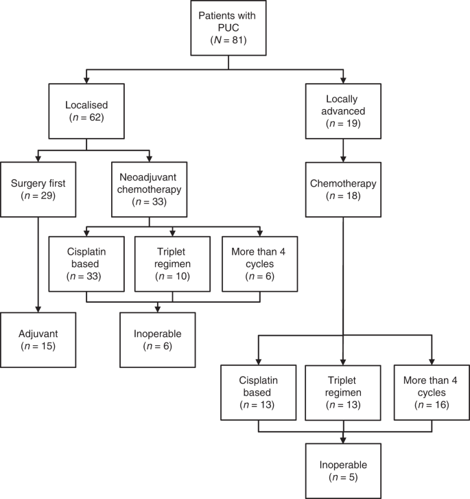 Fig. 1: Consort diagram depicting the study population and subgroups for the primary clinical analysis.