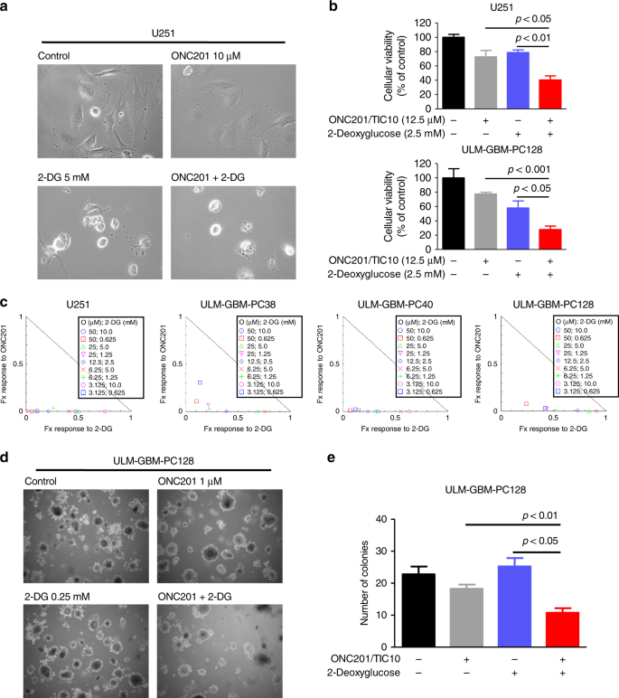 Fig. 2: Combined treatment with ONC201/TIC10 and 2-Deoxyglucose synergistically reduces the cellular viability of glioblastoma cells.