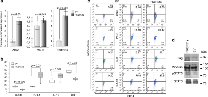 Fig. 5: Effect of forced FKBP51s expression on monocytes’ co-stimulation markers.