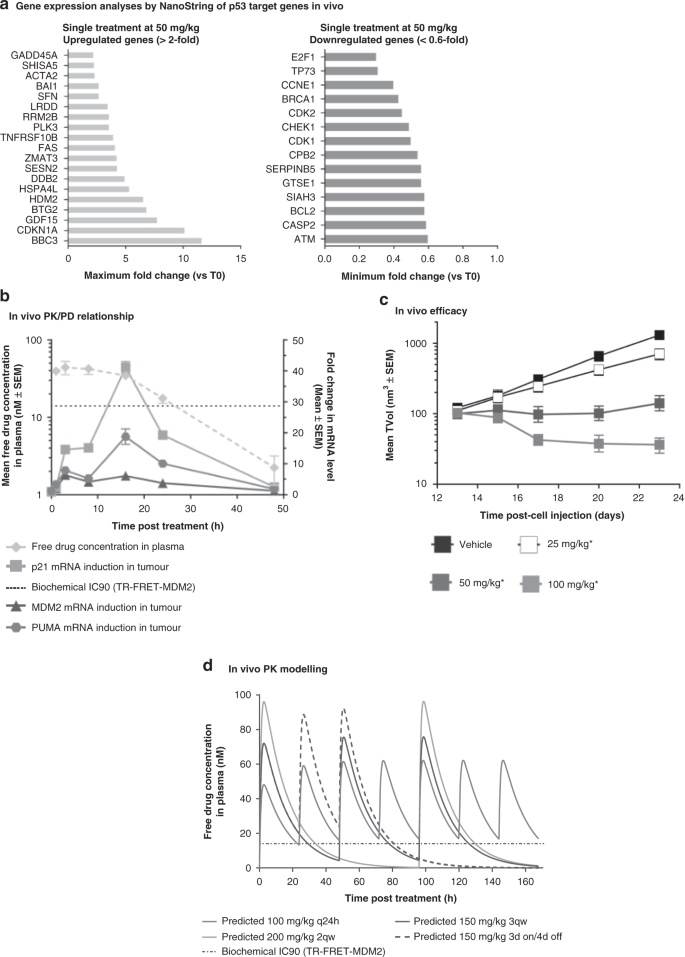 Pharmacokinetic Pharmacodynamic Guided Optimisation Of Dose And Schedule Of Cgm097 An Hdm2 Inhibitor In Preclinical And Clinical Studies British Journal Of Cancer Pharmacokinetic Pharmacodynamic Guided Optimisation Of Dose And Schedule Of Cgm097 An Hdm2 Inhibitor In Preclinical And Clinical Studies British Journal Of Cancer