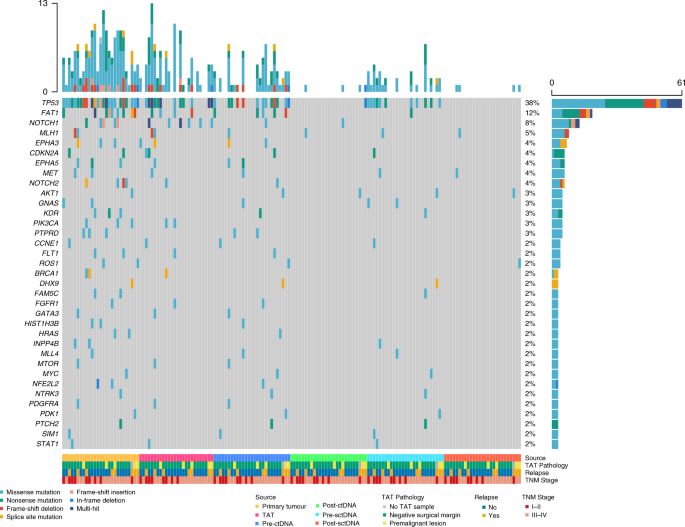Fig. 1: Overview of somatic mutations in the tumour, plasma, saliva and adjacent mucosa tissue in (n = 27) HNSCC patients.