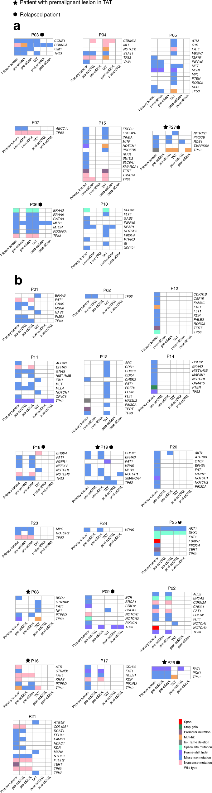 Fig. 2: Somatic mutations identified in (n = 6) samples from each patient.