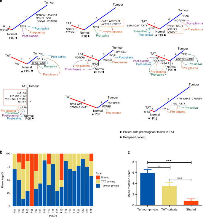 Fig. 3: Evolutionary relationship between TATs and primary tumours in relapsed patients and patients with premalignant lesions in their TATs.