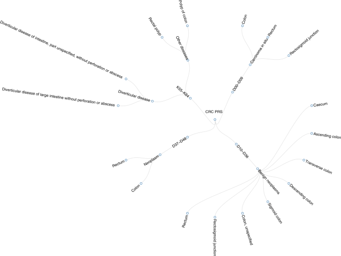 Fig. 3: TreeWAS results of the associations between weighted polygenic risk scores of colorectal cancer and other diseases in UK Biobank.