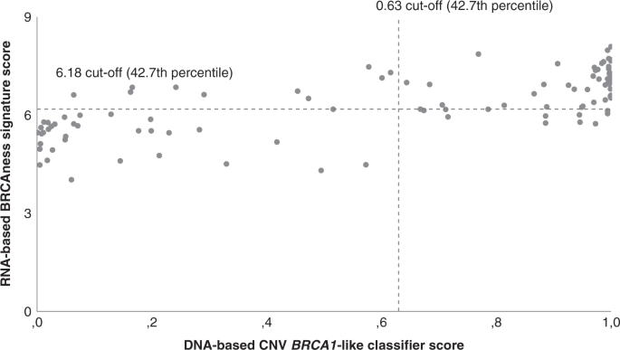 Fig. 3: DNA-based CNV BRCA1-like classifier versus RNA-based BRCAness signature.