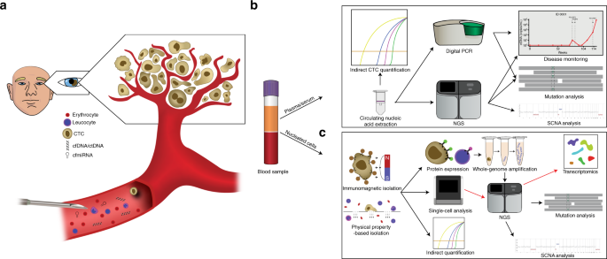 Fig. 3: Liquid biopsy.