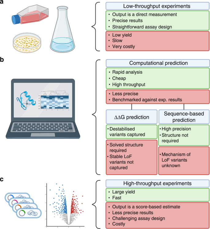 Lynch syndrome, molecular mechanisms and variant classification 