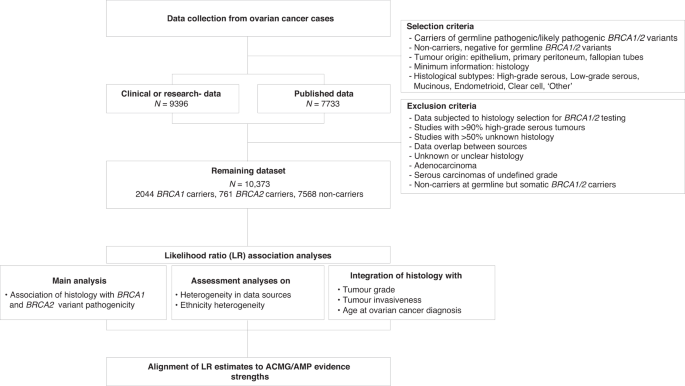 Fig. 1: Flowchart of study design and methods.
