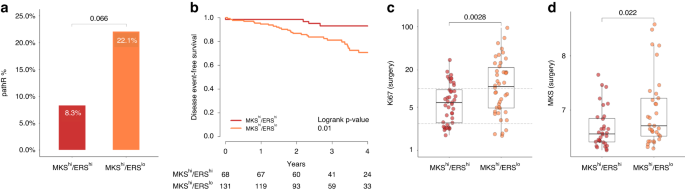 Fig. 1: Clinical and pathological outcomes of patients with MKShi tumours treated with neoadjuvant systemic therapy.
