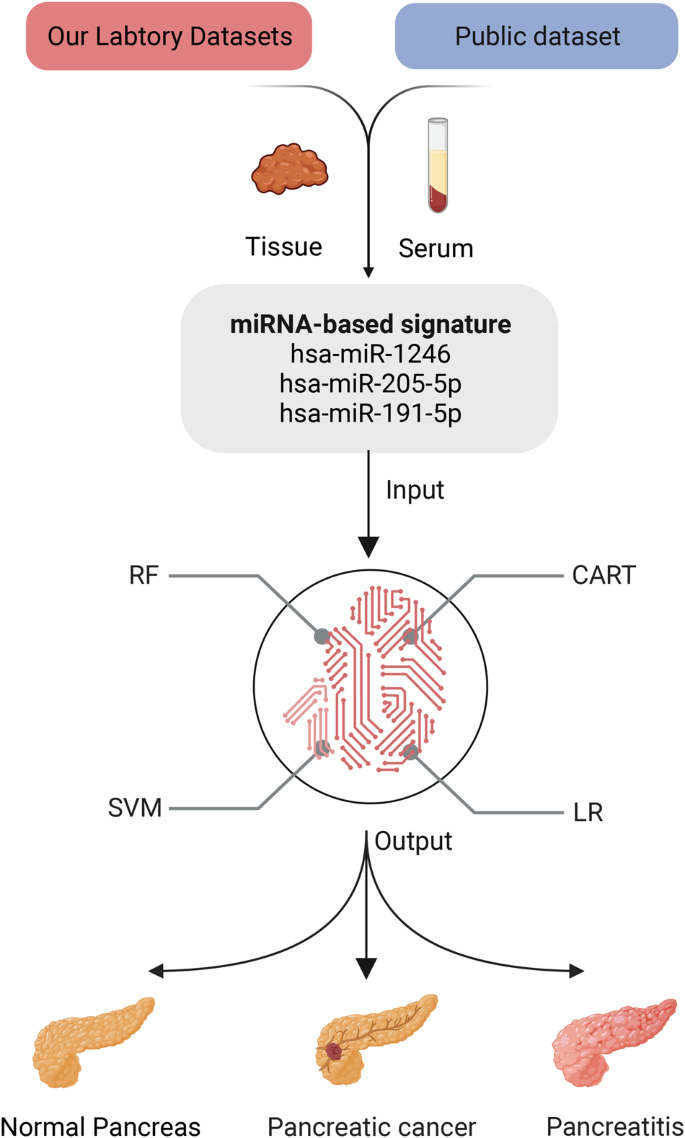 Integrating a microRNA signature as a liquid biopsy-based tool for 