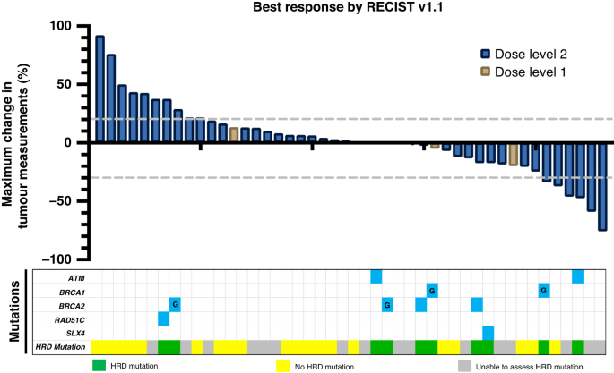 Fig. 2: Waterfall plot for best response by RECIST version 1.1.