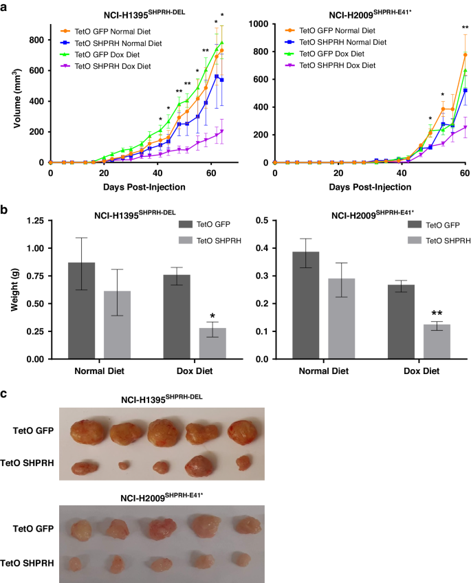 Fig. 5: Re-expression of SHPRH reduces tumor formation, in vivo.